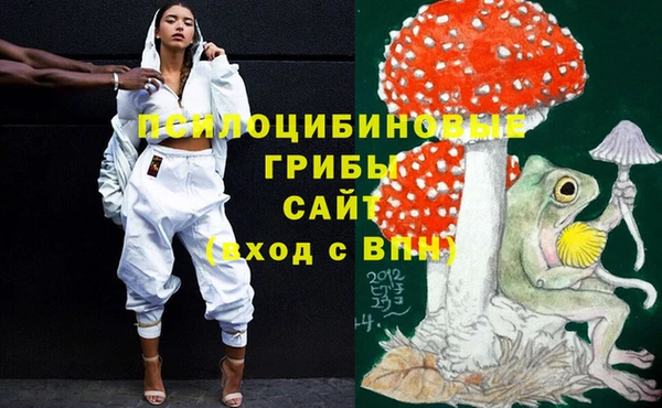 прущие грибы Абдулино