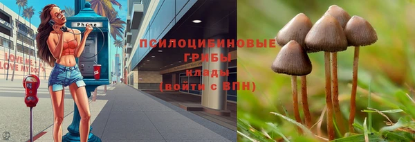 хмурый Алексин