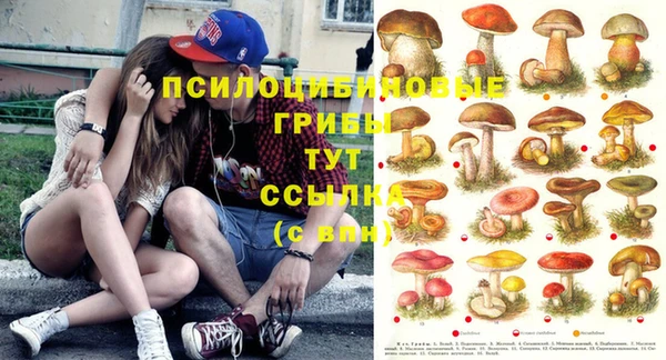 кристаллы Алексеевка