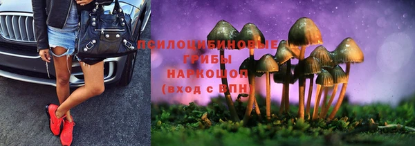 прущие грибы Абдулино