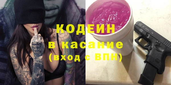 хмурый Алексин