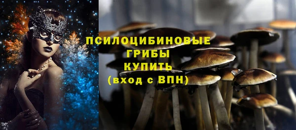 прущие грибы Абдулино